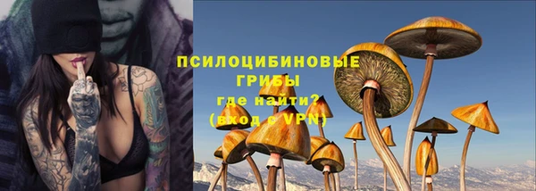 прущие крисы Аркадак