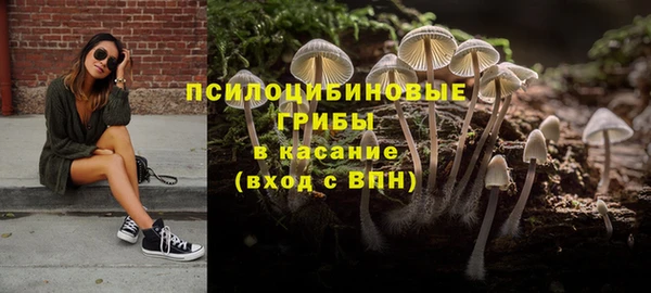 прущие крисы Аркадак