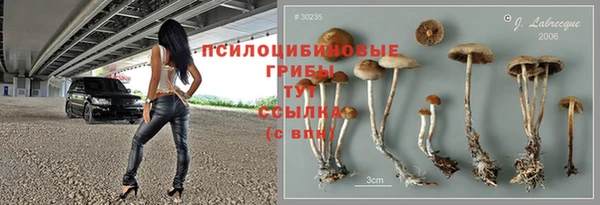 прущие крисы Аркадак
