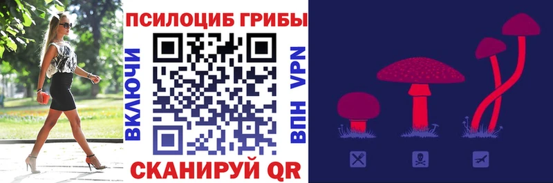 Псилоцибиновые грибы Psilocybe blacksprut ТОР Байкальск